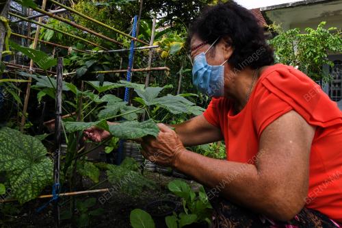 PG02_06122021_KEBUN_RUMAH