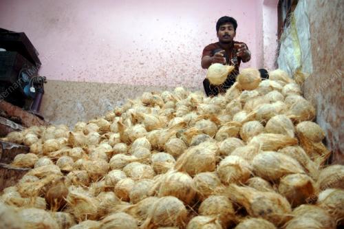 HARGA KELAPA NAIK