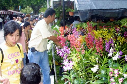 PAMERAN BUNGA