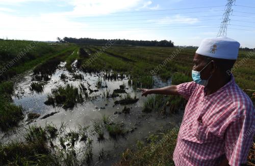 PENCEMARAN SUNGAI KEREH