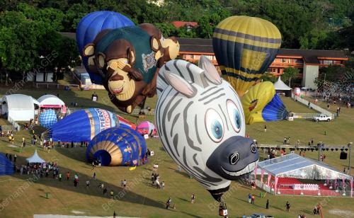 PG02_09022016_BELON_MONYET