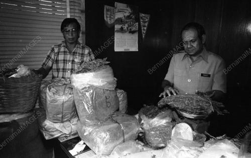 PG02_09072015_RAMPAS_GANJA