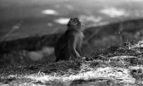 PG02_11032015_BERUK