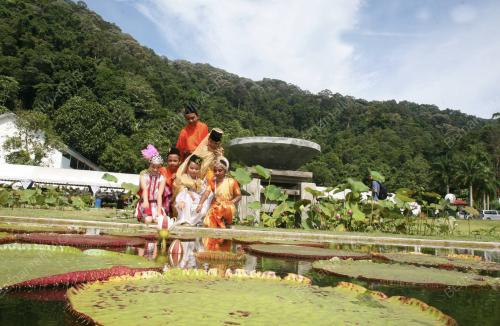 TAMAN BOTANI