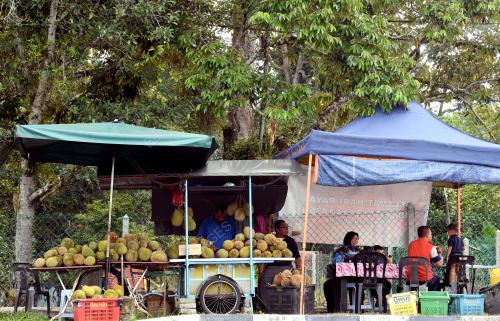 PG02_12062019_DURIAN_BN201906121803