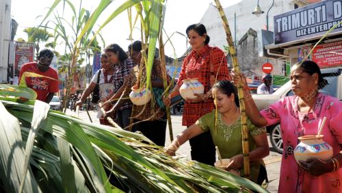 PG02_13012014_PERSIAPAN_PONGGAL