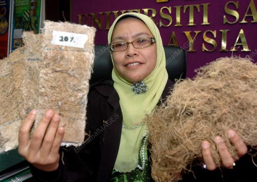 DR FAUZIAH AHMAD
