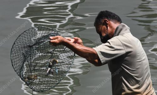 UMPAN MENANGKAP KETAM