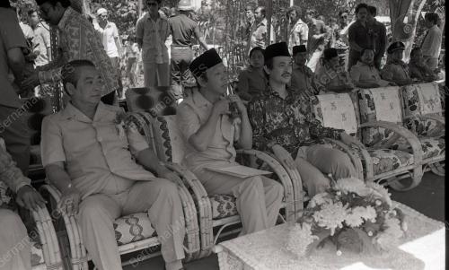 MUSA HITAM