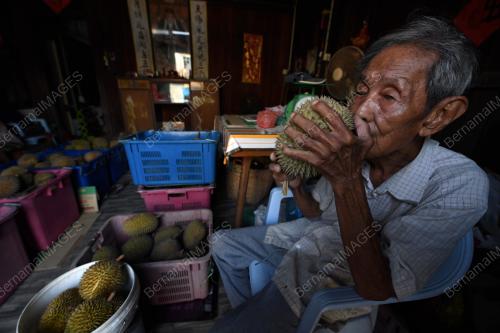 WARGA EMAS JUAL DURIAN