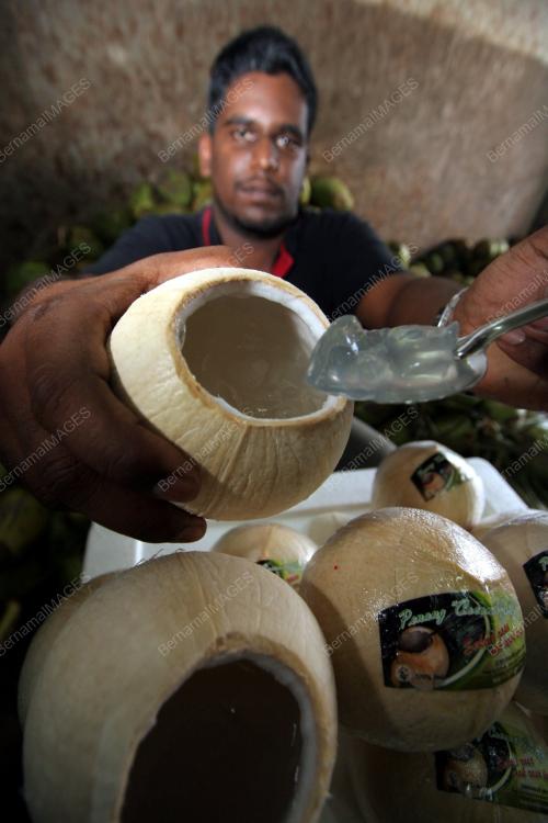 JELI KELAPA