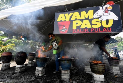 AYAM PASU BALIK PULAU