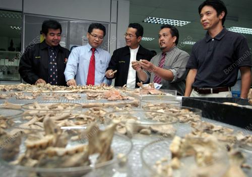 PROF MADYA MOKHTAR SAIDIN