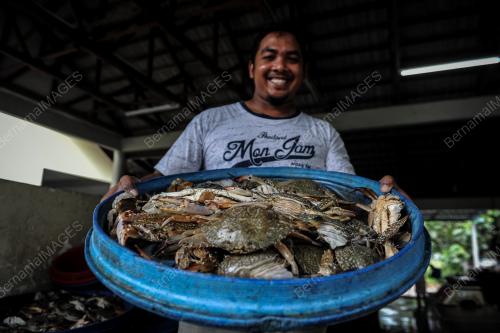 MUSIM TENGKUJUH NELAYAN SUNGAI BATU