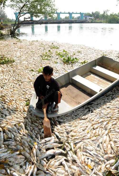 PG02_19032015_TIMBUNAN_IKAN