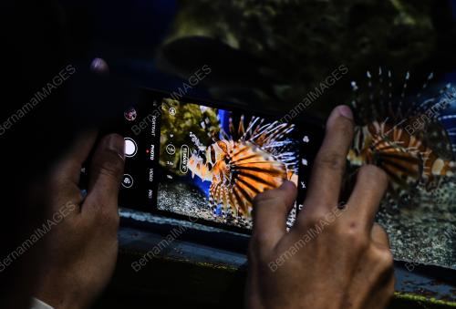 HARI IKAN SEDUNIA