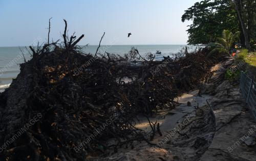 HAKISAN PANTAI