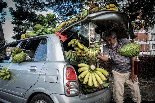 PENJUAL BUAH-BUAHAN