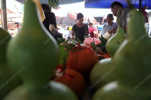 PG02_24012017_LABU_CINA