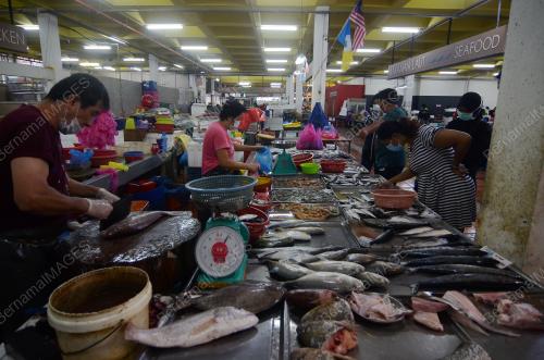 COVID-19_PASAR