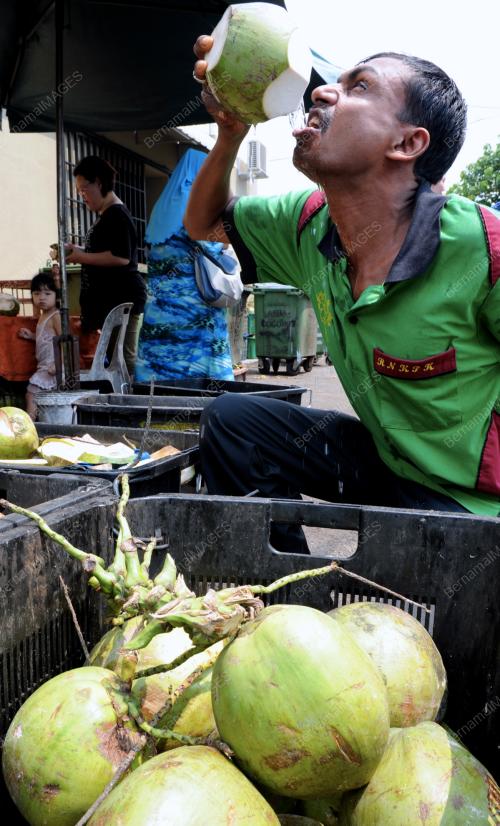 PG02_25062012_KELAPA_MUDA