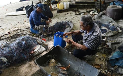 NELAYAN CARI KETAM
