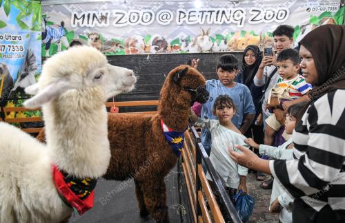 MINI ZOO