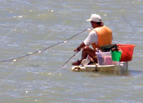 MENJALA IKAN