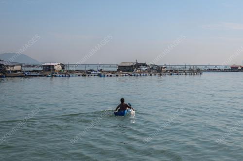SANGKAR IKAN