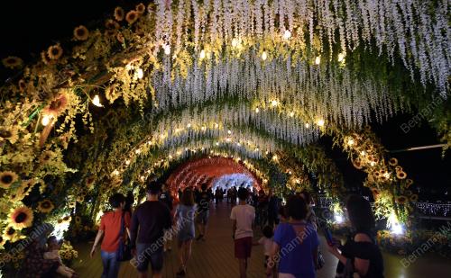 PG02_28112018_TAMAN_BUNGA