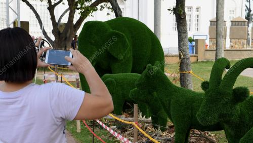 PG02_29032019_RUMPUT_HAIWAN_bn201902251564