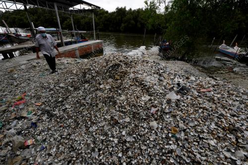 KERANG TERCEMAR