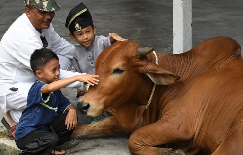IBADAH KORBAN