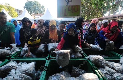 PG02_31012018_IKAN_BILIS