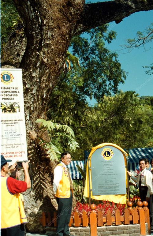 PG03-09_12_2000_LION-POKOK_15012016