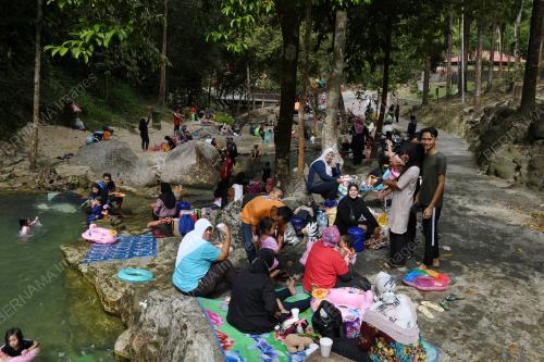 TAMAN RIMBA TELUK BAHANG