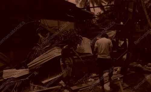 PG03_030490_POKOK_TUMBANG