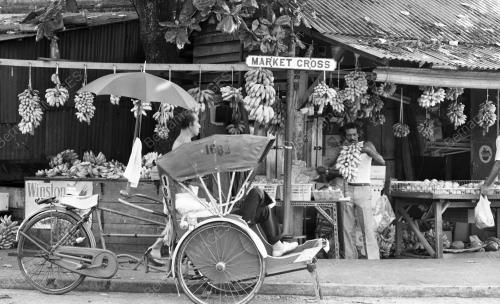 PG03_03082015_PISANG