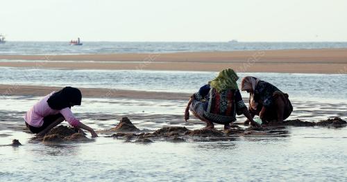 PG03_03092012_TIDAK_HIRAU_AMARAN