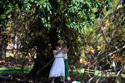 PENANG BOTANIC GARDENS