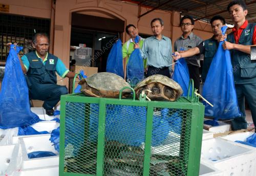 PG03_04052012_TEDUNG_SELAR