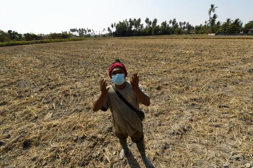 TANAMAN ALTERNATIF MUSIM KEMARAU