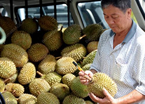 PG03_05062013_TANDA_DURIAN