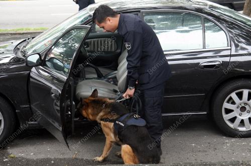POLIS