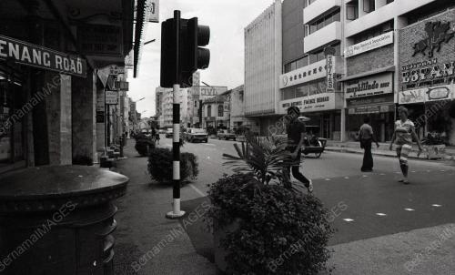 POKOK HIASAN