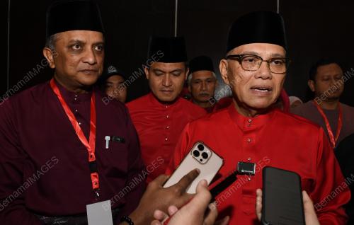 UMNO BAHAGIAN KEPALA BATAS
