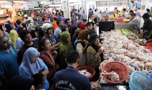 PG03_07082013_AYAM_RAYA