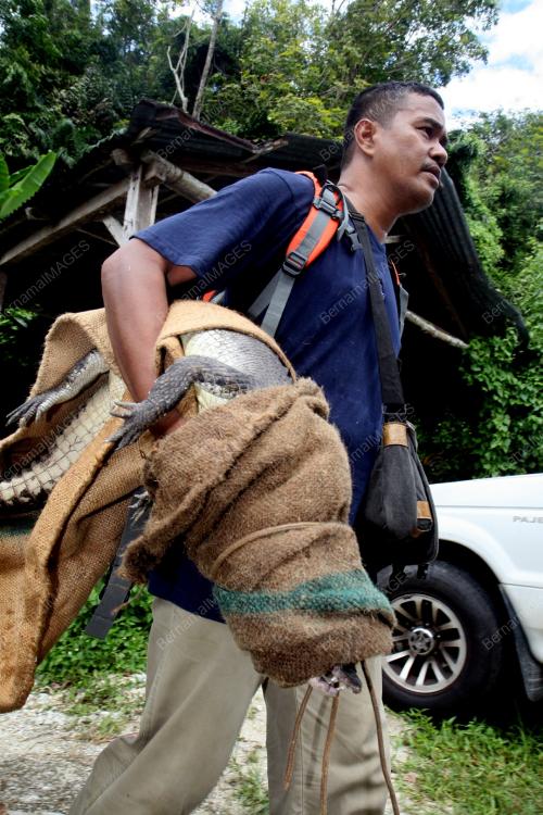 RAMPASAN HAIWAN