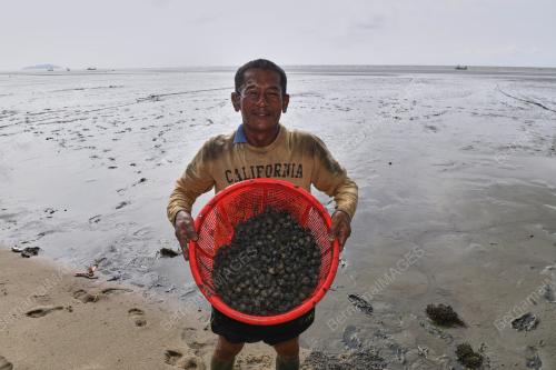 MENCARI KERANG