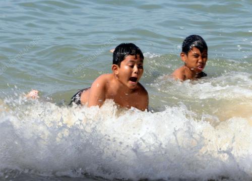MANDI_LAUT